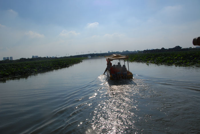 Ϧ�(y��ng)������ӭ�������ϰ�